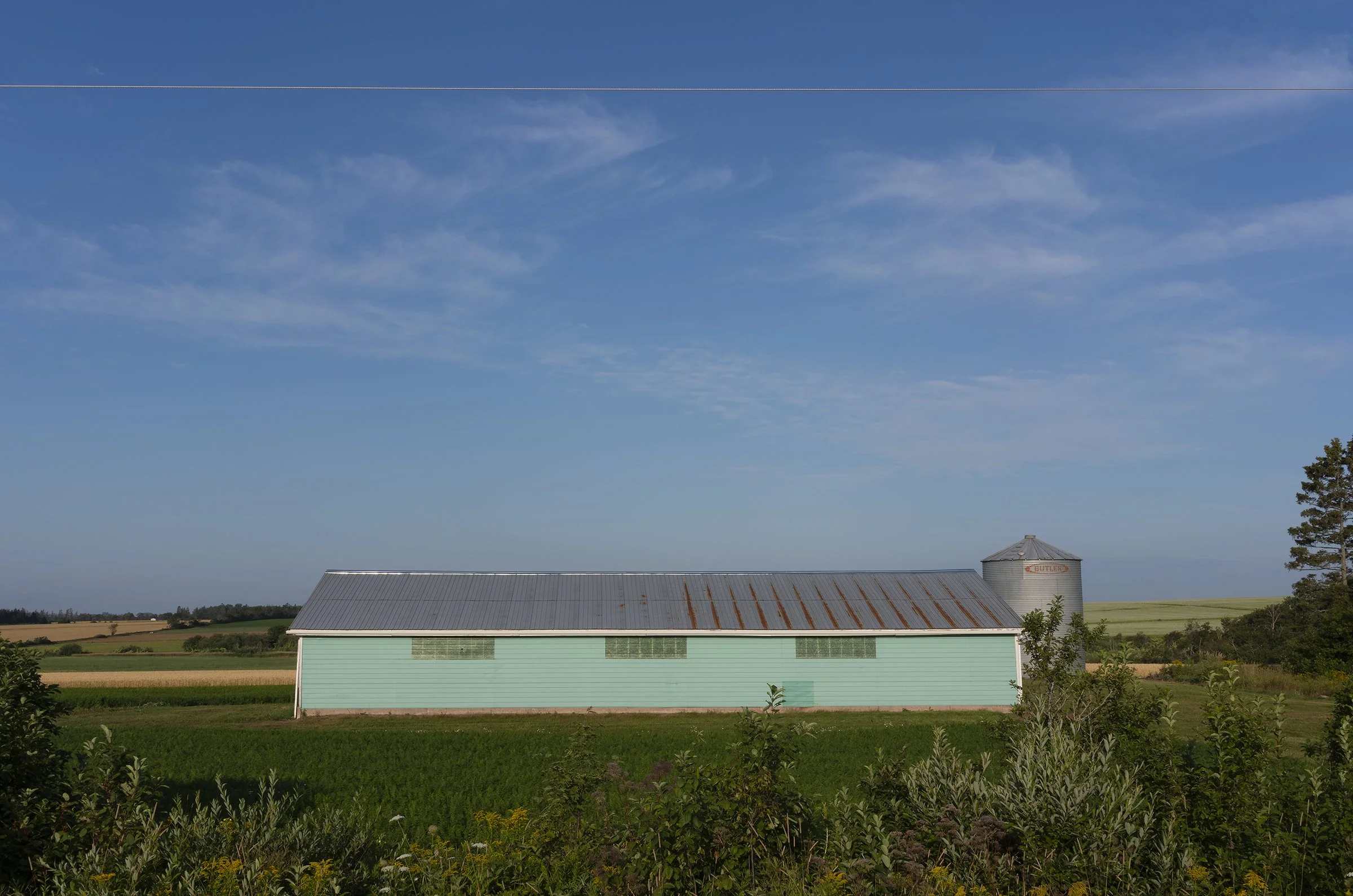 Vaughn Sills: Still <br/>Project Space<br/> — Kingston Gallery Vaughn Sills: Still <br/>Project Space<br/> — Kingston Gallery